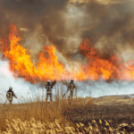 Vitoria active les agriculteurs volontaires pour arrêter les incendies de forêt face aux risques extrêmes dus à la chaleur et à la sécheresse