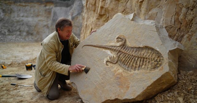 Un fossile de reptile marin vieux de 150 millions dʼannées découvert dans une carrière du Jura par un géologue amateur