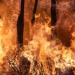 30 000 hectares brûlés en Espagne en 2026 : les clés pour comprendre un incendie de forêt