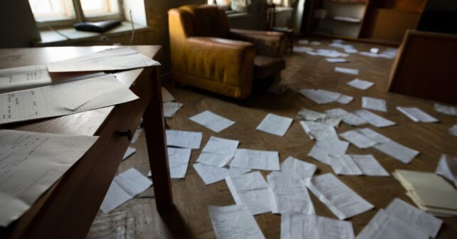34 chats retrouvés dans un appartement insalubre du Nord : ʼCertains étaient déjà morts depuis des joursʼ