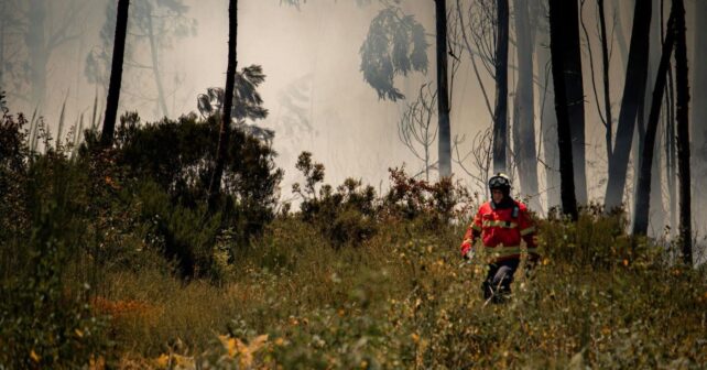 Castilla-La Mancha despliega su mayor escudo contra incendios forestales con miles de efectivos