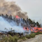 El Bierzo est confiant dans la maîtrise des incendies de forêt après une nuit clé