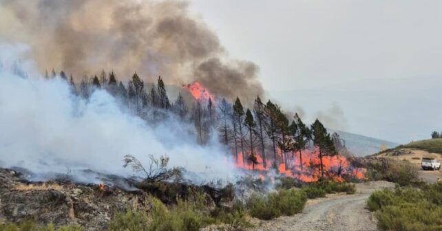 El Bierzo confía en controlar los incendios forestales