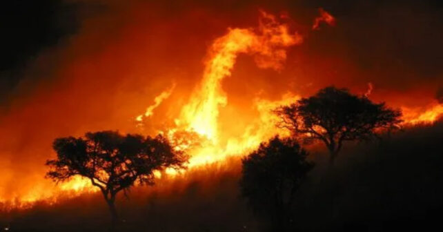 incendios forestales en España