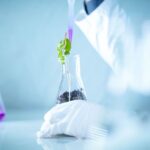 Ils découvrent de nouvelles espèces d'agents pathogènes qui menacent les cultures et la faune dans le cadre d'une découverte sans précédent