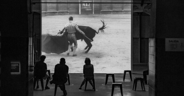 Día Mundial Antitaurino 2026