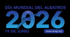 Día Mundial de los Albatros 2026
