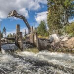 L'Europe construit des barrages depuis des décennies mais en 2025, elle en a détruit 603 d'un coup pour reconnecter plus de 3 740 km de rivières et raviver des écosystèmes qui semblaient finis.