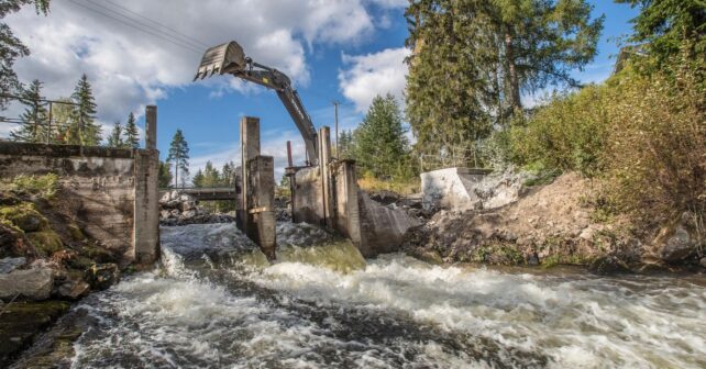 Excavadora retirando una antigua presa en un río europeo para restaurar la conectividad fluvial y los ecosistemas acuáticos.