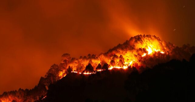 Europa refuerza la prevención de incendios forestales como prioridad climática