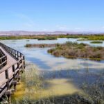 La Global Nature Foundation reçoit le LIFE Award 2026 grâce à un projet pionnier sur les zones humides