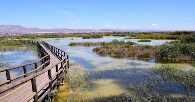 Fundación Global Nature premiada con el LIFE Award 2026 por su trabajo en humedales mediterráneos