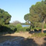 La Laguna de Las Madres veut arrêter la désertification à Huelva avec une restauration historique