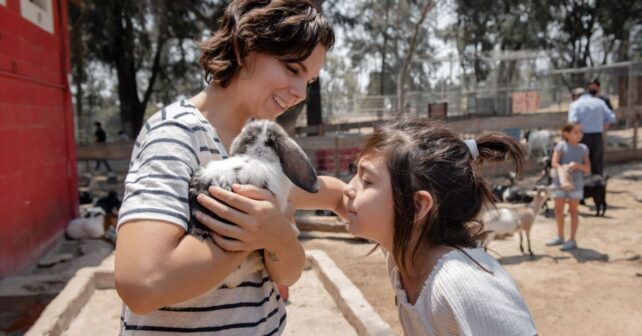 el Congreso rechaza educar sobre bienestar animal en las aulas durante una votación parlamentaria