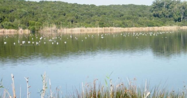 Humedal de Marruecos con aves acuáticas en una zona clave para las rutas migratorias entre África y Europa