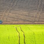 Le Parlement européen donne son feu vert à la déréglementation des OGM malgré le rejet social et environnemental