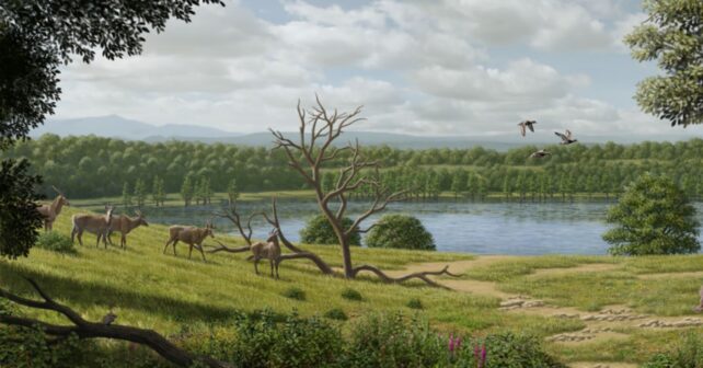 El gigante prehistórico que cambia la historia de los búfalos europeos