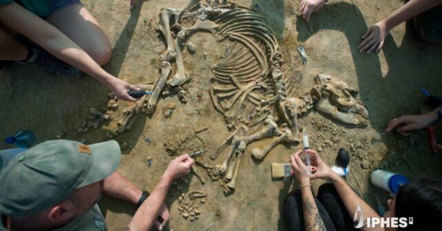 La cría de tapir que reescribe la prehistoria durante los trabajos de excavación en Girona