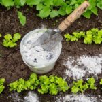 Les agriculteurs sont d'accord : les cendres de bois de chauffage que nous jetons sont un trésor plein de calcium, de potassium et de magnésium pour les plantes.