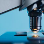Les étudiants découvrent une nouvelle espèce d'algues inconnue de la science grâce à un projet pionnier à León