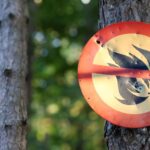 Les îles Baléares demandent la prudence pour éviter les incendies de forêt face à un été à haut risque