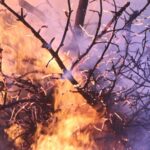 Les incendies de forêt détruisent des centaines d'hectares en Galice et maintiennent trois provinces en alerte