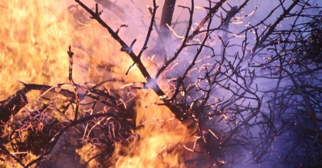 los incendios forestales arrasan cientos de hectáreas en Galicia