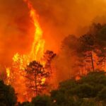 Les incendies de forêt en Espagne en 2025 suscitent une alerte urgente de Greenpeace