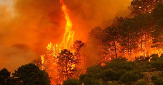los incendios forestales de 2025 en España