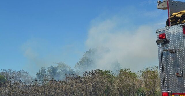 Los incendios forestales en España se disparan