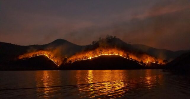 Los incendios forestales en España se triplican en 2026