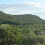 Les ornithologues le disent depuis des années, 20 ans plus tard, la Sierra Escalona compte 220 espèces d'oiseaux et près de 100 couples de hiboux et n'est toujours pas déclarée parc naturel.