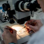 Les scientifiques collectent le sperme de plus de 600 abeilles pour tenter de sauver l'espèce de varroa, un dangereux parasite qui tue ces insectes.