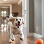 Les vétérinaires préviennent que jouer avec votre chien à la maison lorsqu'il s'ennuie comporte des dangers silencieux qui passent inaperçus mais peuvent causer un problème plus grave.