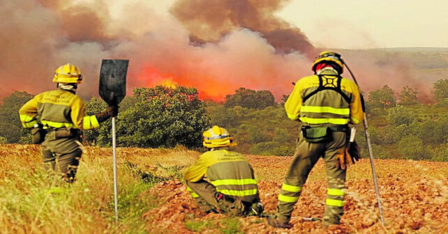 Palencia activa un gran escudo forestal para salvar sus pueblos del fuego