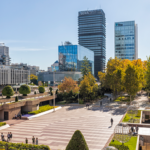Sauver le verger AZCA, le choc environnemental qui secoue Madrid