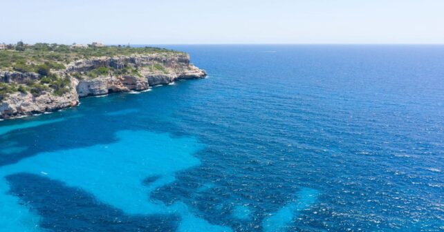 vigilancia de la posidonia en Baleares durante labores de control marítimo