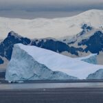 Un fossile révèle le premier dinosaure découvert en Antarctique après 40 ans oublié dans un tiroir