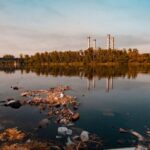 Une bactérie décontamine le sol et l'eau à l'aide d'un ARN clé pour résister aux conditions extrêmes