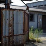 À quelques jours du festival de Yulin un abattoir de chiens ferme définitivement ses portes