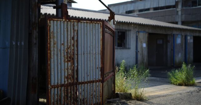 À quelques jours du festival de Yulin un abattoir de chiens ferme définitivement ses portes