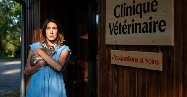Avant de ramener un animal trouvé en vacances : lʼalerte sanitaire que la plupart des voyageurs ignorent