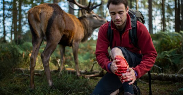 ʼIl a chargé alors quʼon remontait le sentierʼ : un randonneur encorné par un cerf en pleine forêt de lʼIsère