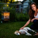 ʼJe le caressais en pensant lʼapaiserʼ : son chien meurt après lʼinstallation de ruches chez le voisin