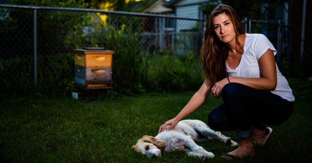 ʼJe le caressais en pensant lʼapaiserʼ : son chien meurt après lʼinstallation de ruches chez le voisin