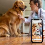 Ces astuces pour chiens vues sur TikTok peuvent être dangereuses alertent les vétérinaires