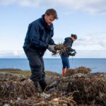 Ces ornithologues détruisent volontairement des nids de goélands et cʼest pour sauver une autre espèce