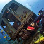 Ces plongeurs coulent volontairement de vieilles rames de métro au large et les poissons adorent ça