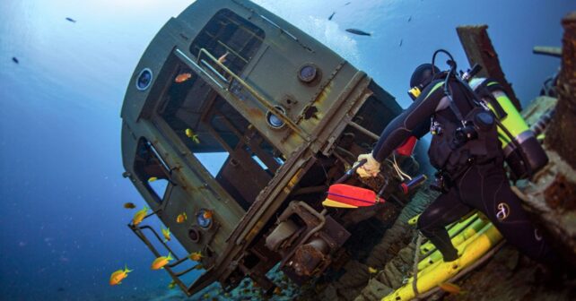 Ces plongeurs coulent volontairement de vieilles rames de métro au large et les poissons adorent ça
