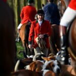 Chasse à courre : pourquoi cette battue dans une forêt de lʼOise déclenche une pétition à 20 000 signatures